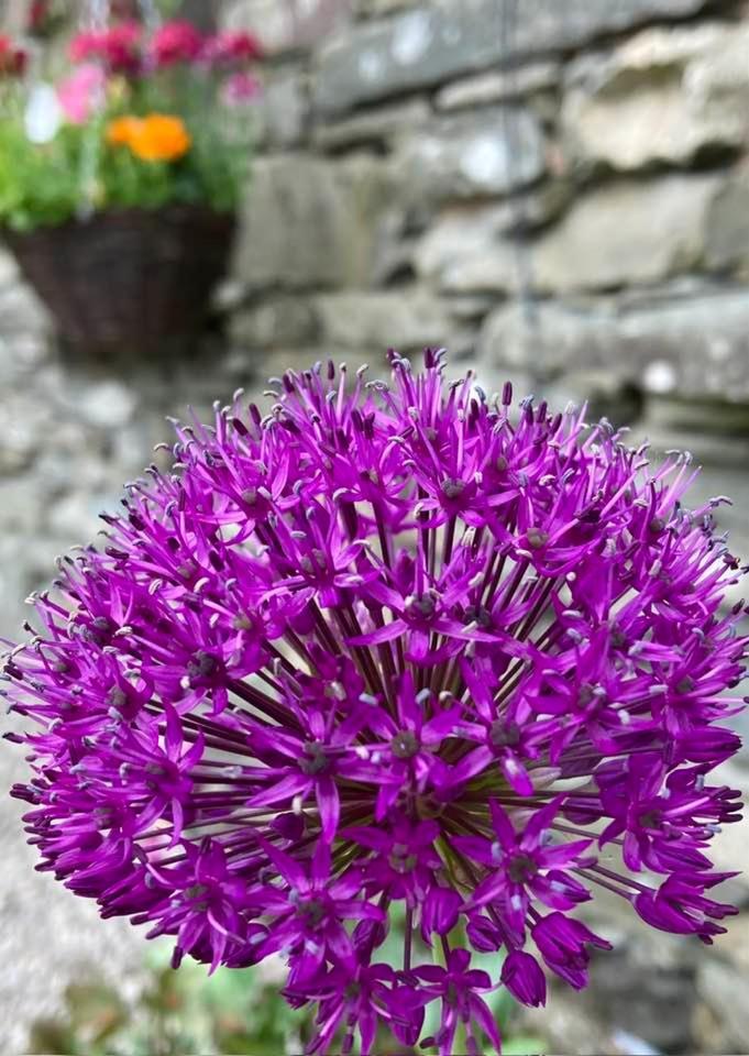 Crookabeck B&B Patterdale Exterior photo