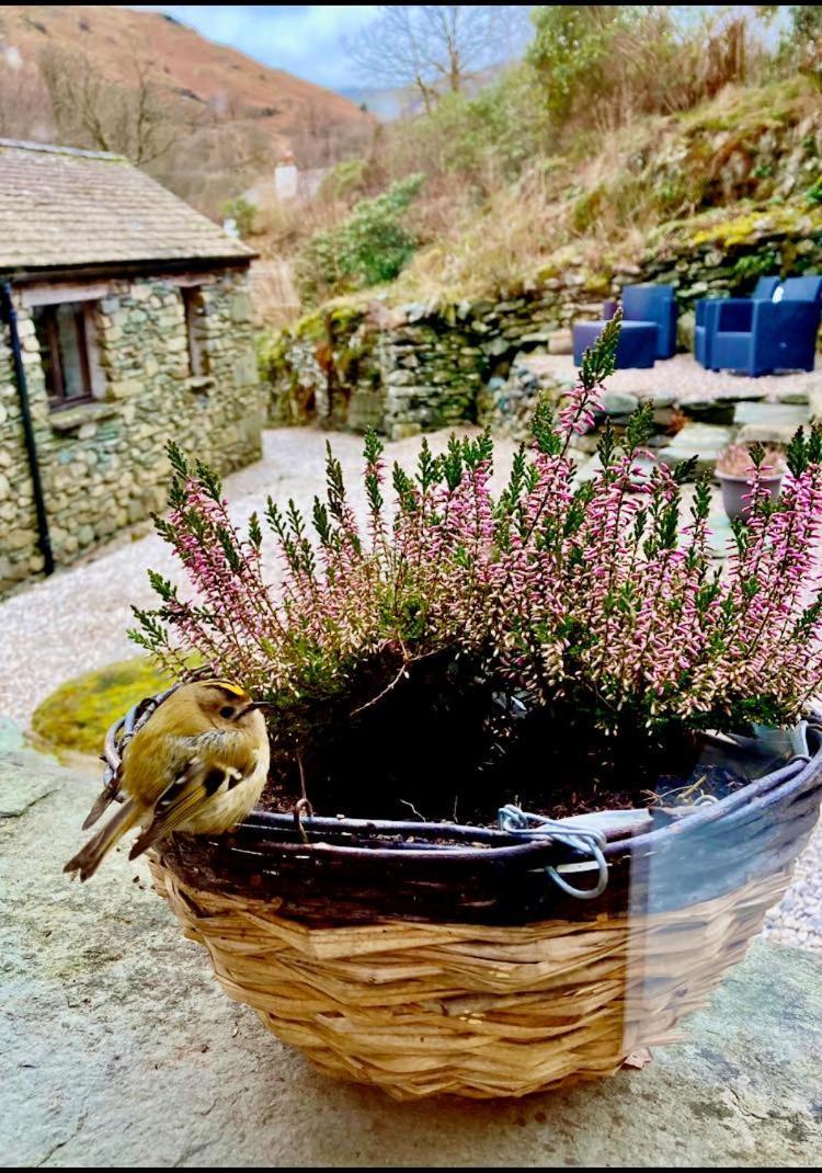 Crookabeck B&B Patterdale Exterior photo